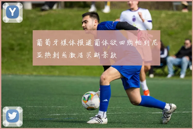 葡萄牙媒体报道葡体欲回购帕利尼亚热刺或激活买断条款